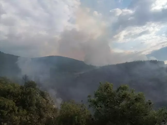 Tokat'ın Erbaa ilçesinde ormanlık alanda yangın çıktı