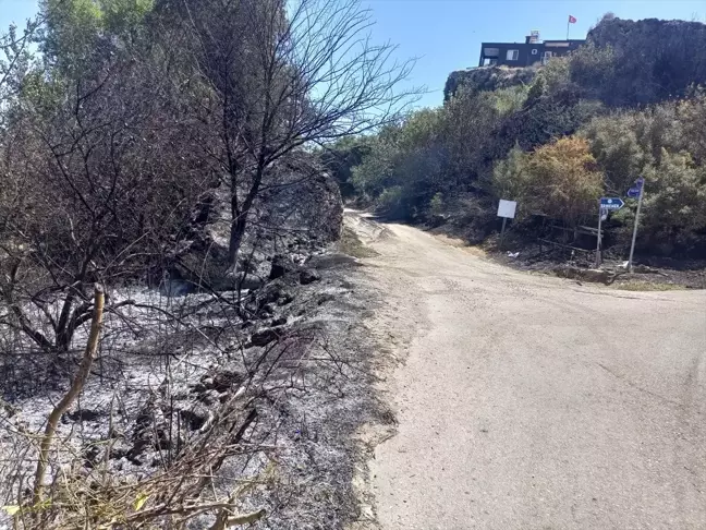 Antalya'da yerleşim bölgesine yakın alanda çıkan yangın söndürüldü