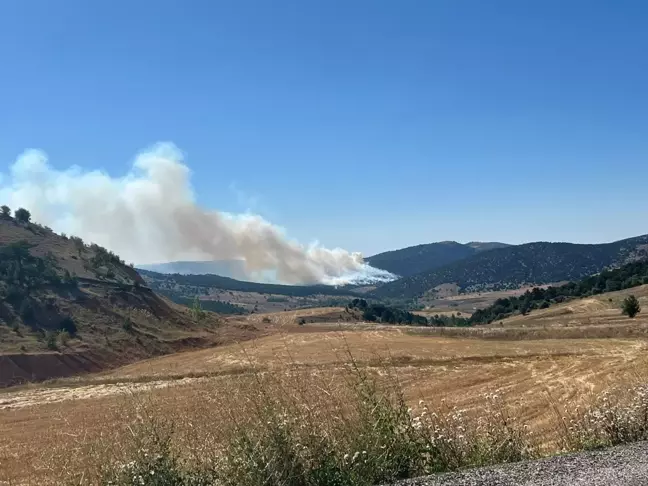 Konya Ilgın'da Orman Yangını Çıktı