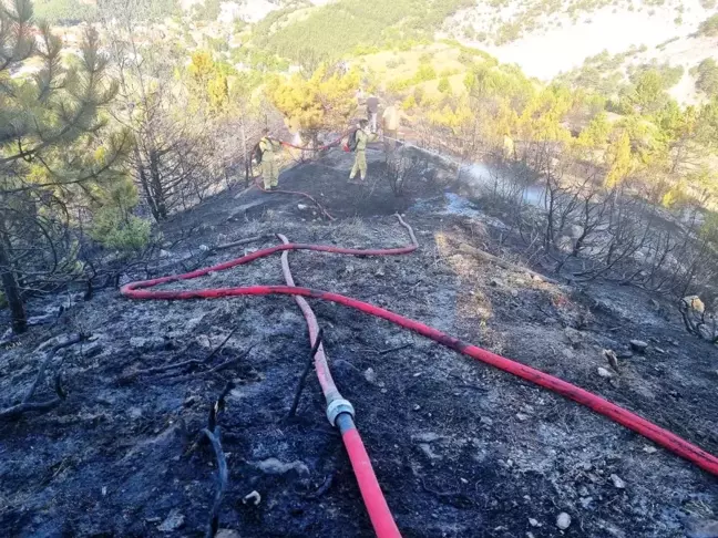 Kütahya'da Orman ve Ziraat Yangınları
