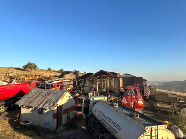 Ankara'da Ahır Yangınında 26 Büyükbaş Hayvan Telef Oldu