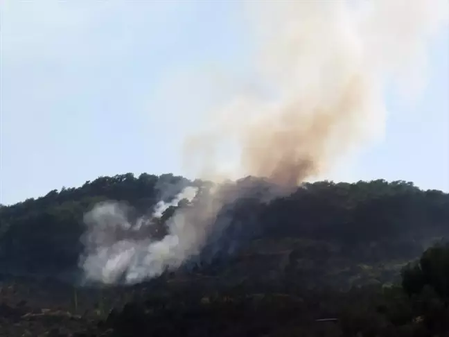 Çanakkale'de Orman Yangınına Havadan ve Karadan Müdahale