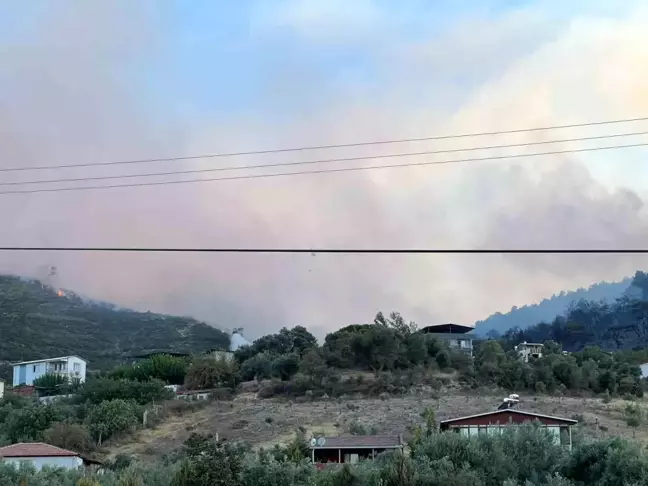 Manisa'da çıkan orman yangını kontrol altına alındı