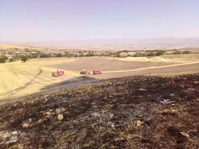 Malatya'da 50 dönümlük anız yangını söndürüldü