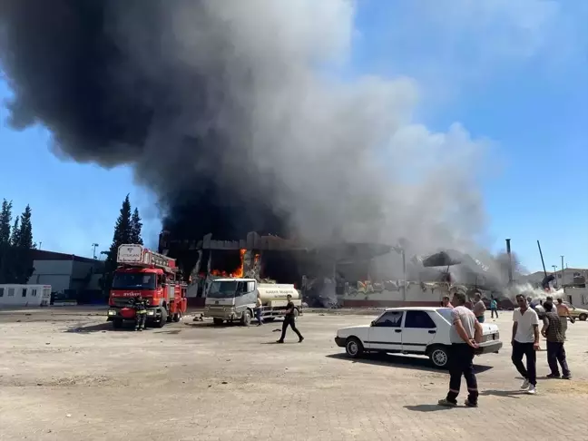 Manisa'da üzüm işleme tesisinde yangın çıktı