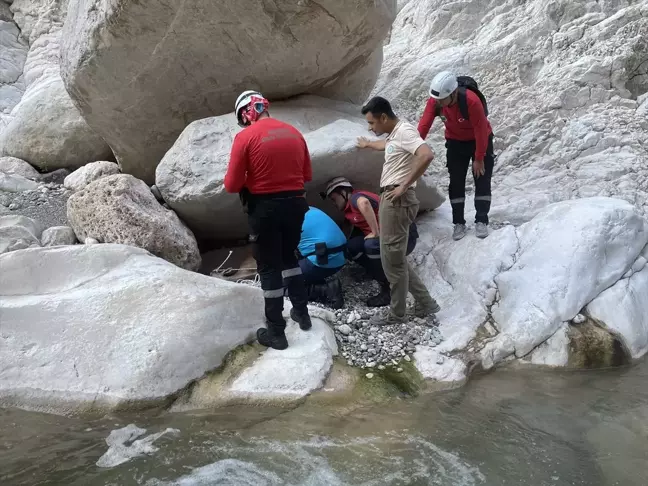 Antalya'da yaralı yaban keçisi kurtarıldı