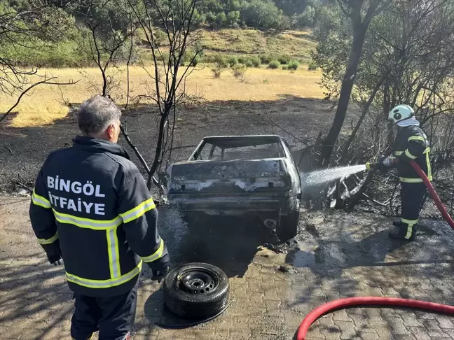 Bingöl'de ağaçlara çarpan otomobildeki 2 kişi yaralandı