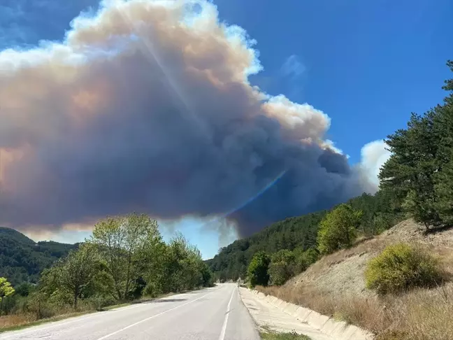 Bolu'nun Göynük ilçesinde ormanlık alanda yangın çıktı