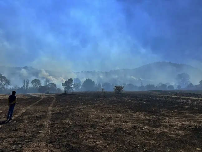 Bolu'nun Gerede ilçesinde çıkan anız yangını söndürüldü