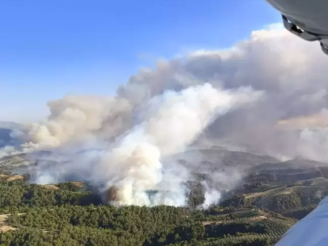 Manisa'da çıkan orman yangınlarına müdahale sürüyor