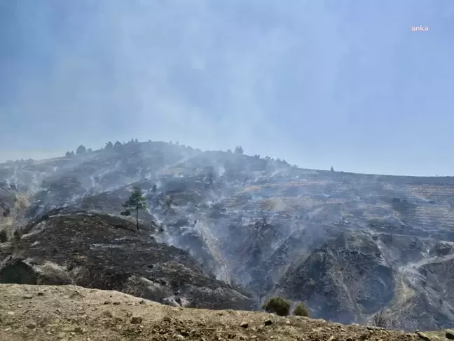 Manisa'da Gördes ilçesinde orman yangını devam ediyor