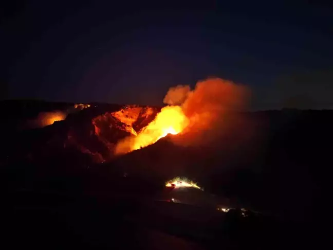 Çanakkale'de Büyükanafarta köyü yakınlarında orman yangını