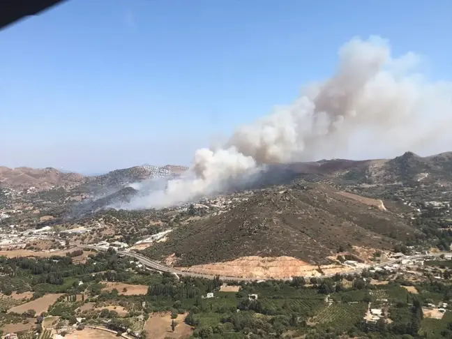 Aydın'ın Bozdoğan ilçesinde orman yangını çıktı