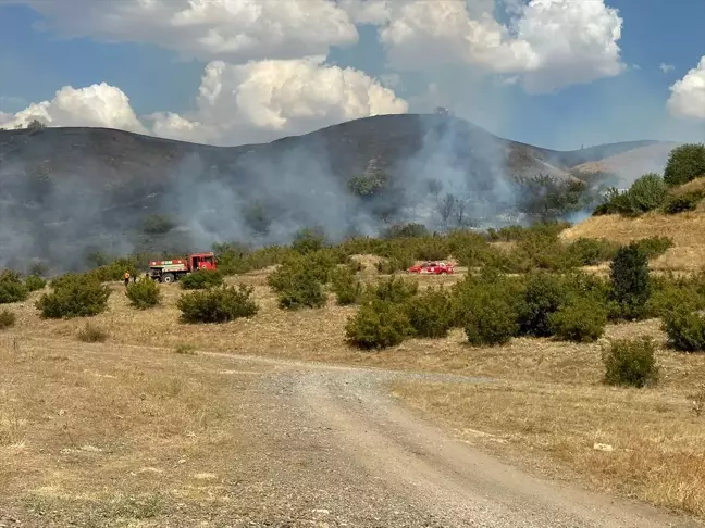 Bingöl'de merada ve ormanlık alanda çıkan yangın kontrol altına alındı