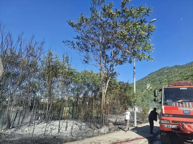 Bursa'da ağaçlık alanda çıkan yangın söndürüldü