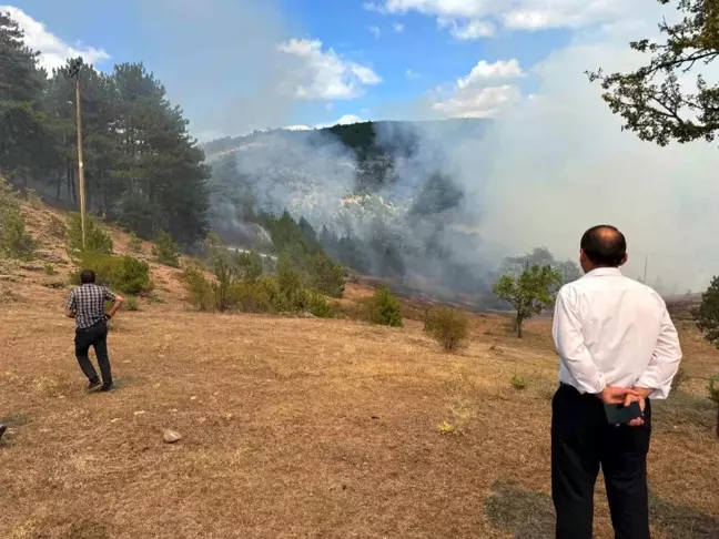 Kastamonu'da Orman Yangını Söndürüldü