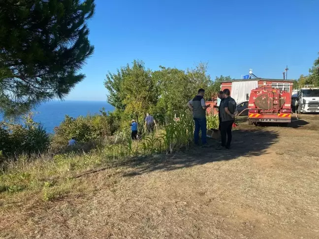 Zonguldak'ta fındık bahçesinde çıkan yangın kontrol altına alındı