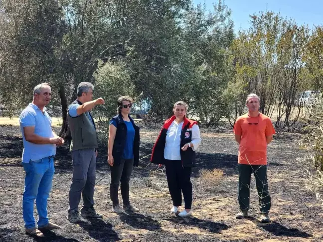 Çanakkale'deki Orman Yangını Sonrası Hasar Tespit Çalışmaları Başladı