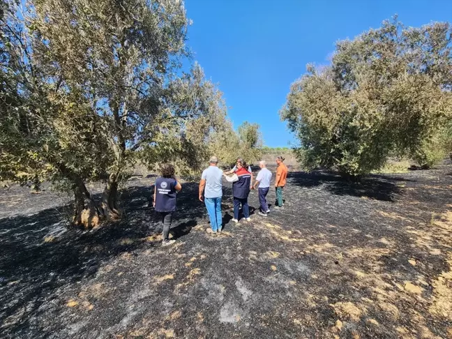 Çanakkale'deki Orman Yangını Sonrası Hasar Tespit Çalışmaları Başladı