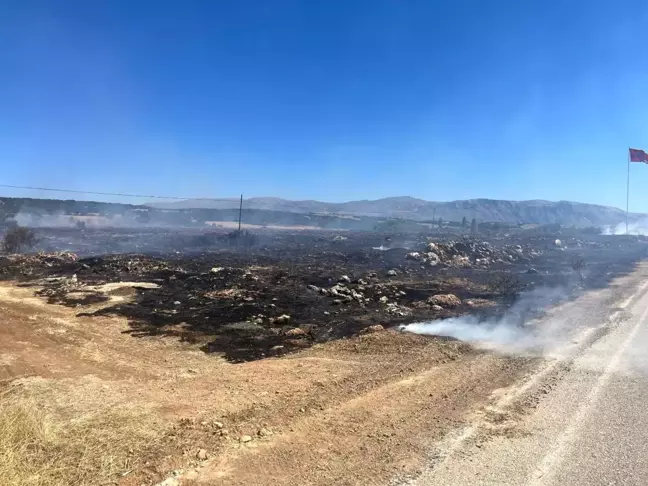 Isparta'da anız yangını ormanlık alana sıçramadan söndürüldü