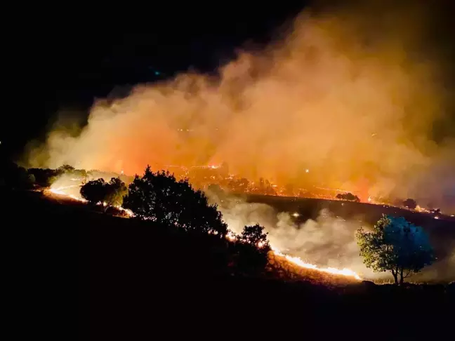 Tunceli'de çıkan orman yangınının sebebi açıklandı