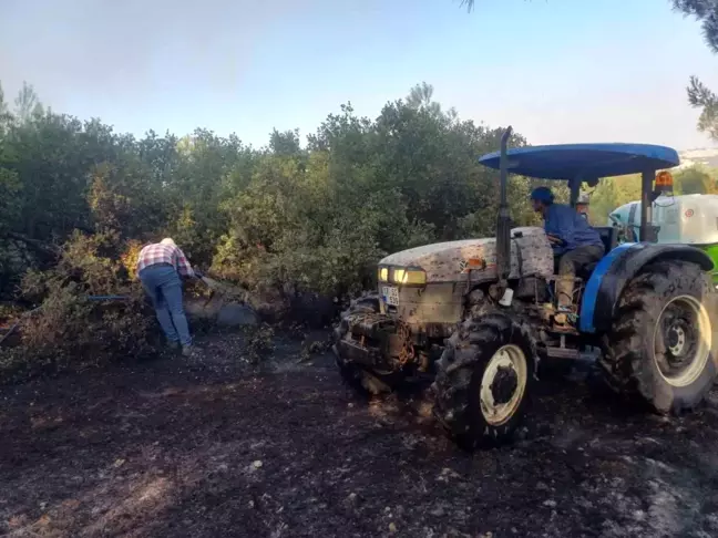 Manisa'da orman yangınında müdahale sürüyor