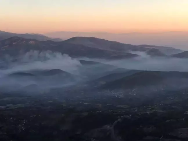 Aydın ve Muğla'da Devam Eden Orman Yangınına Havadan ve Karadan Müdahale