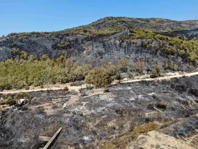 İzmir Karşıyaka'da Orman Yangını: Dron İle Görüntülendi