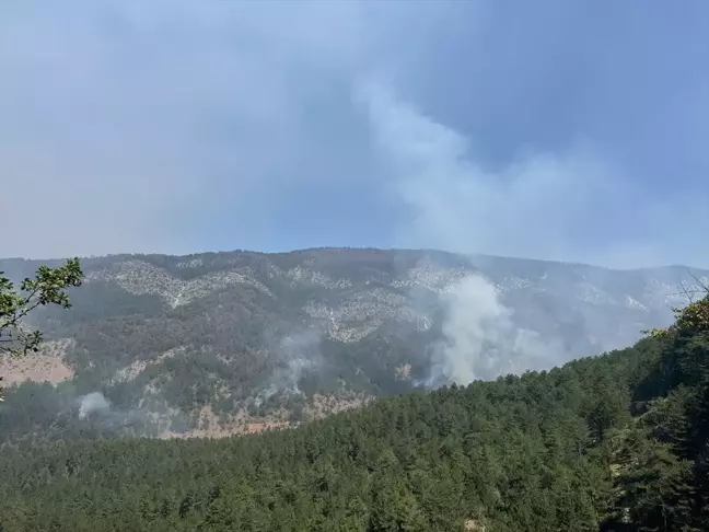 Karabük'ün Ovacık ilçesinde çıkan yangın 46 saattir devam ediyor