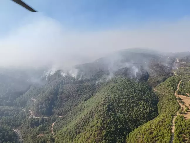 Manisa'da Orman Yangını 5. Günde Devam Ediyor