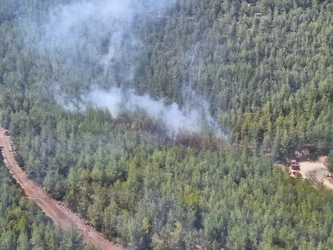 Silifke'de orman yangını kontrol altına alındı