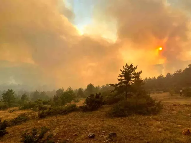 Çankırı'nın Ilgaz ilçesinde orman yangınına müdahale devam ediyor