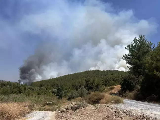 Muğla'daki Orman Yangınları Kontrol Altına Alındı