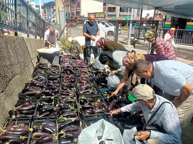 Zonguldak'ın Ereğli ilçesinde Ziraat Odası Başkanı 5 ton patlıcanı bedava dağıttı