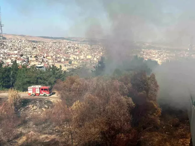 Balıkesir'de Çamlık Mesire Alanında Arazi Yangını