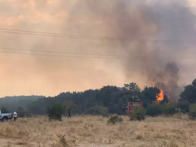 Keşan'da çıkan anız yangını ormana sıçradı