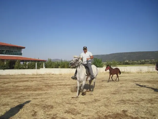 Denizli'nin Kale ilçesinde at çiftliği kuruldu