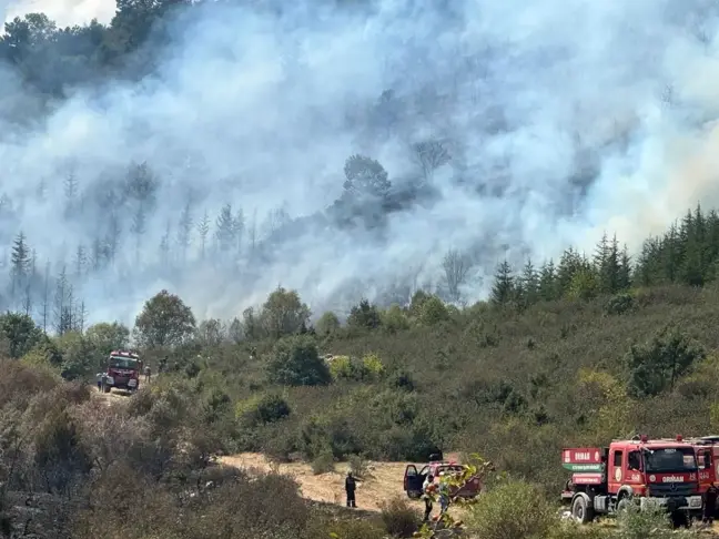 Afyonkarahisar'da başlayan orman yangını kontrol altına alınmaya çalışılıyor