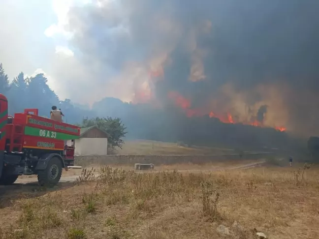 Ankara'nın Kızılcahamam ilçesinde orman yangını çıktı