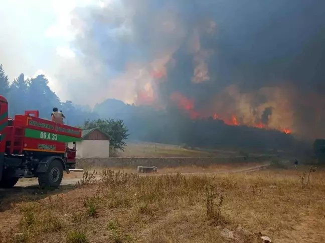 Ankara'nın Kızılcahamam ilçesinde ormanlık alanda yangın çıktı