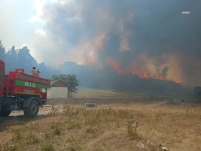 Ankara'da Orman Yangını Çıktı