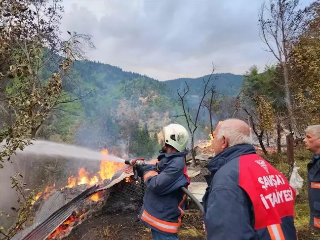 Artvin Şavşat'ta çıkan yangında 3 ev, 3 ahır ve 3 samanlık zarar gördü