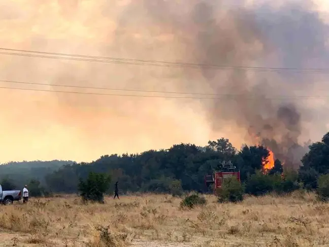 Edirne'de Mecidiye köyünde çıkan yangında 150 dönüm alan ve 2 baraka zarar gördü