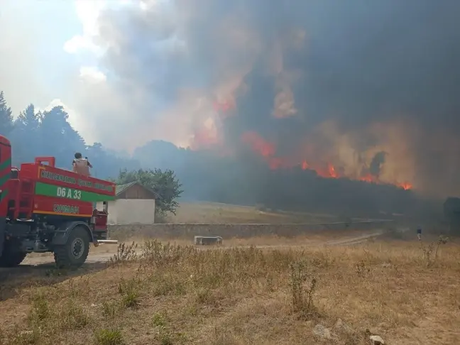 Ankara'da başlayan yangın Bolu'ya sıçradı