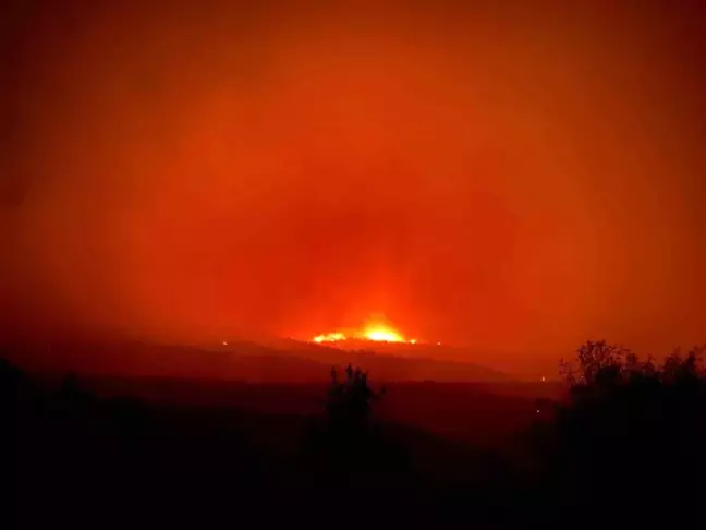 Ankara'dan Bolu'ya Sıçrayan Orman Yangını 13 Saattir Devam Ediyor