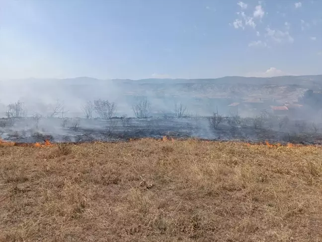 Tosya'da anız yangını kontrol altına alındı