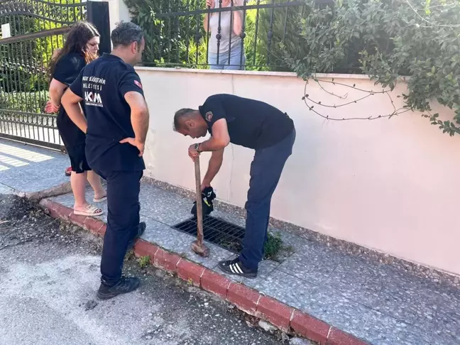 Hatay'da Mahsur Kalan Köpek İtfaiye Tarafından Kurtarıldı