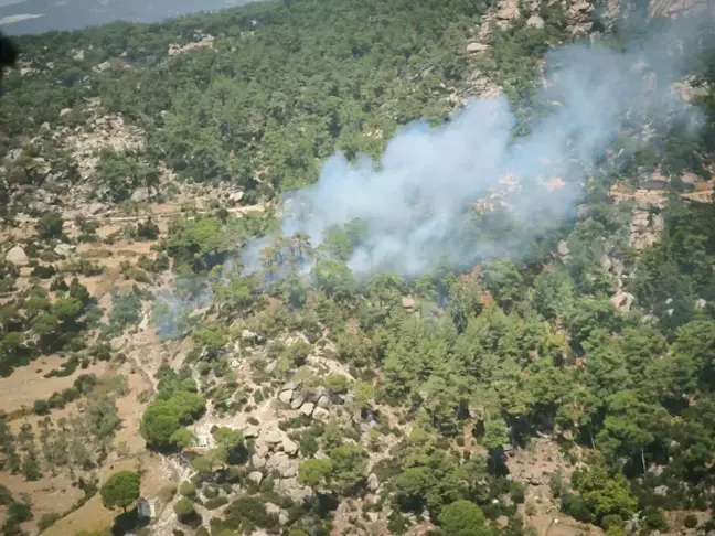 Muğla'da Orman Yangını: Ekipler Alevlere Müdahale Ediyor