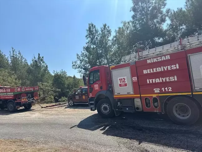 Tokat'ın Niksar ilçesinde çıkan orman yangını kısa sürede söndürüldü