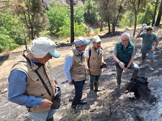 TARSİM Heyeti Aydın ve Muğla'daki yangın bölgelerini ziyaret etti